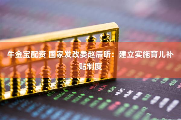 牛金宝配资 国家发改委赵辰昕：建立实施育儿补贴制度