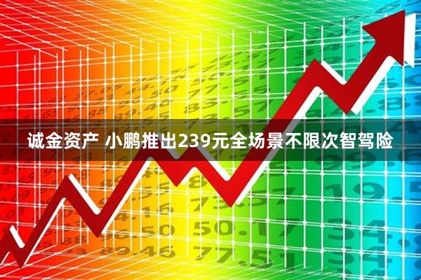 诚金资产 小鹏推出239元全场景不限次智驾险