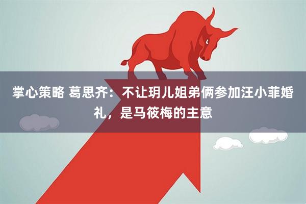 掌心策略 葛思齐：不让玥儿姐弟俩参加汪小菲婚礼，是马筱梅的主意