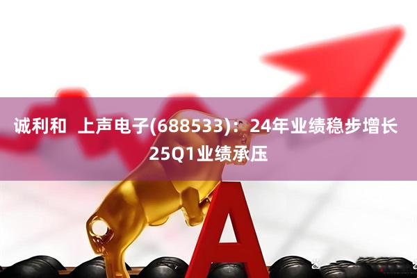 诚利和  上声电子(688533)：24年业绩稳步增长 25Q1业绩承压