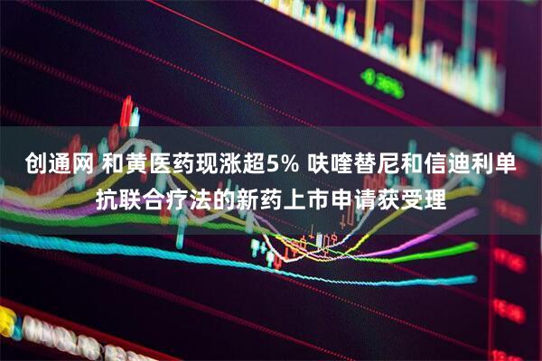 创通网 和黄医药现涨超5% 呋喹替尼和信迪利单抗联合疗法的新药上市申请获受理