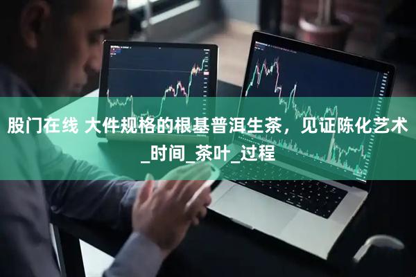股门在线 大件规格的根基普洱生茶，见证陈化艺术_时间_茶叶_过程