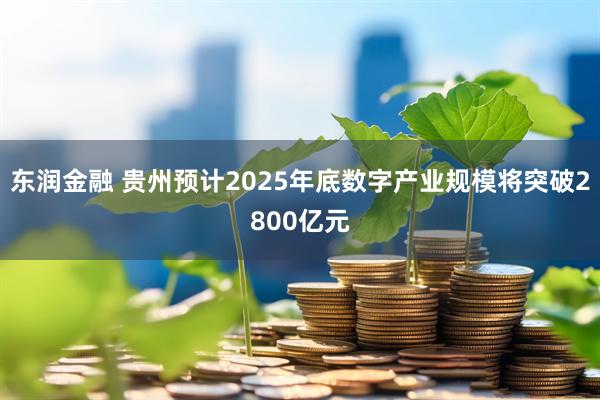 东润金融 贵州预计2025年底数字产业规模将突破2800亿元